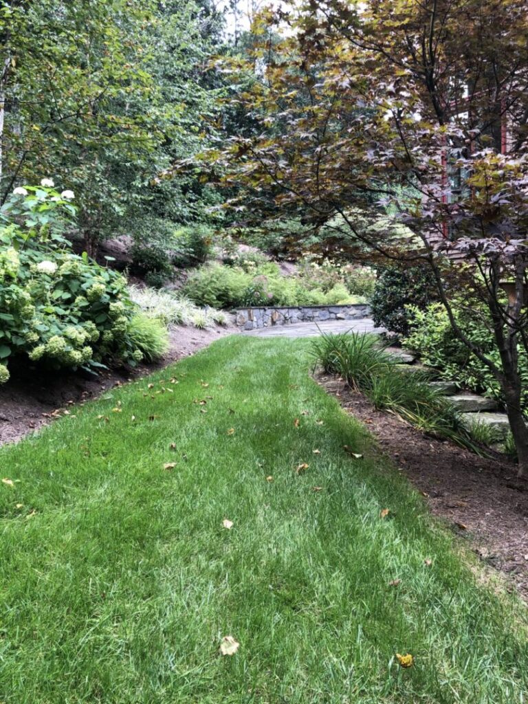 A long grass path in the middle of a garden.