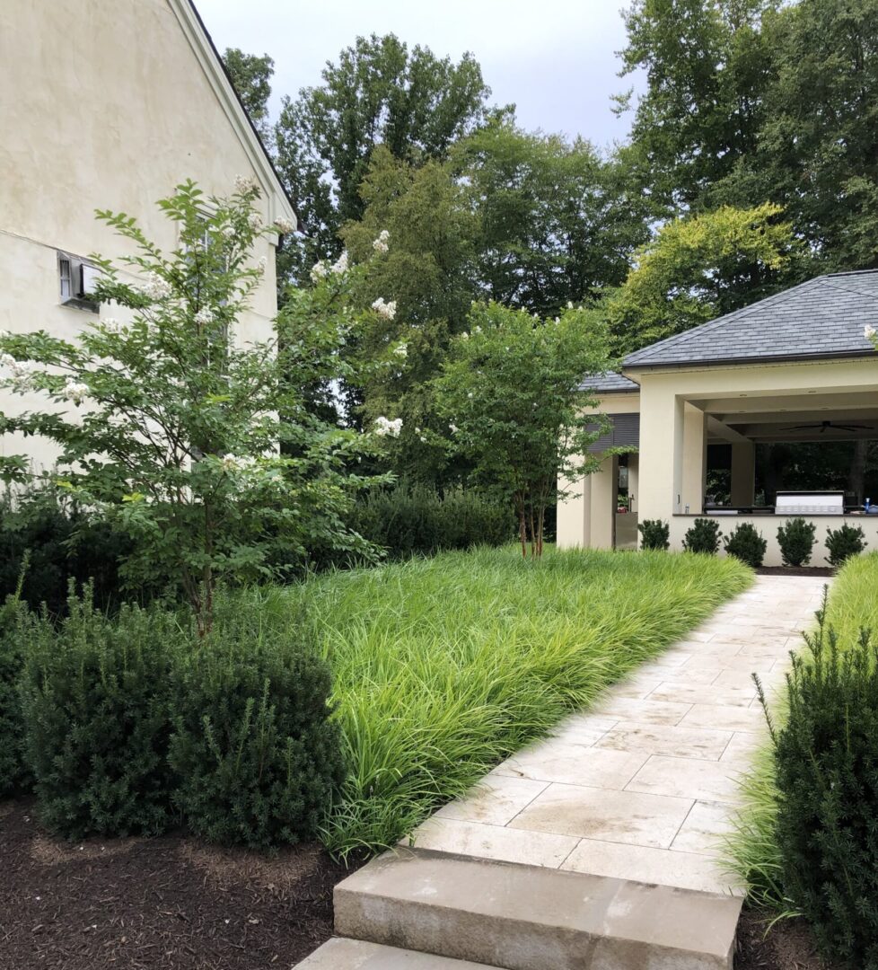 A walkway leading to the back of a house.