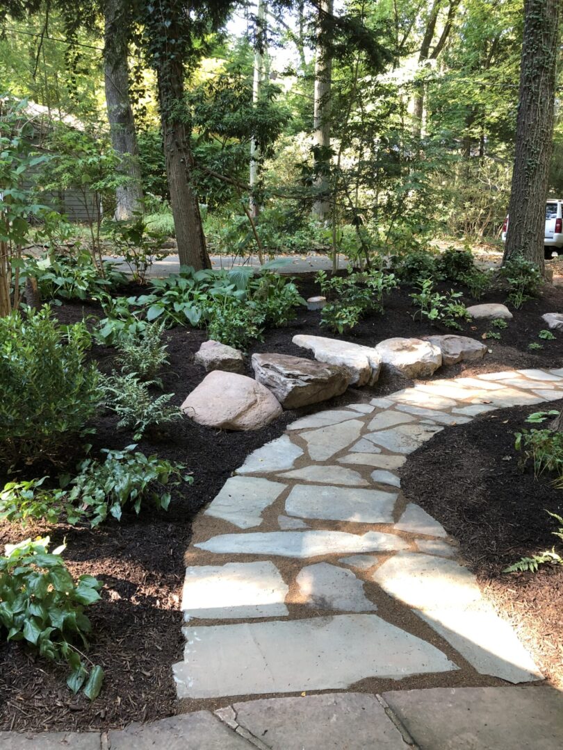 A stone path in the middle of a garden.