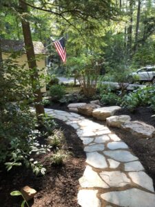 A stone path in the middle of a garden.