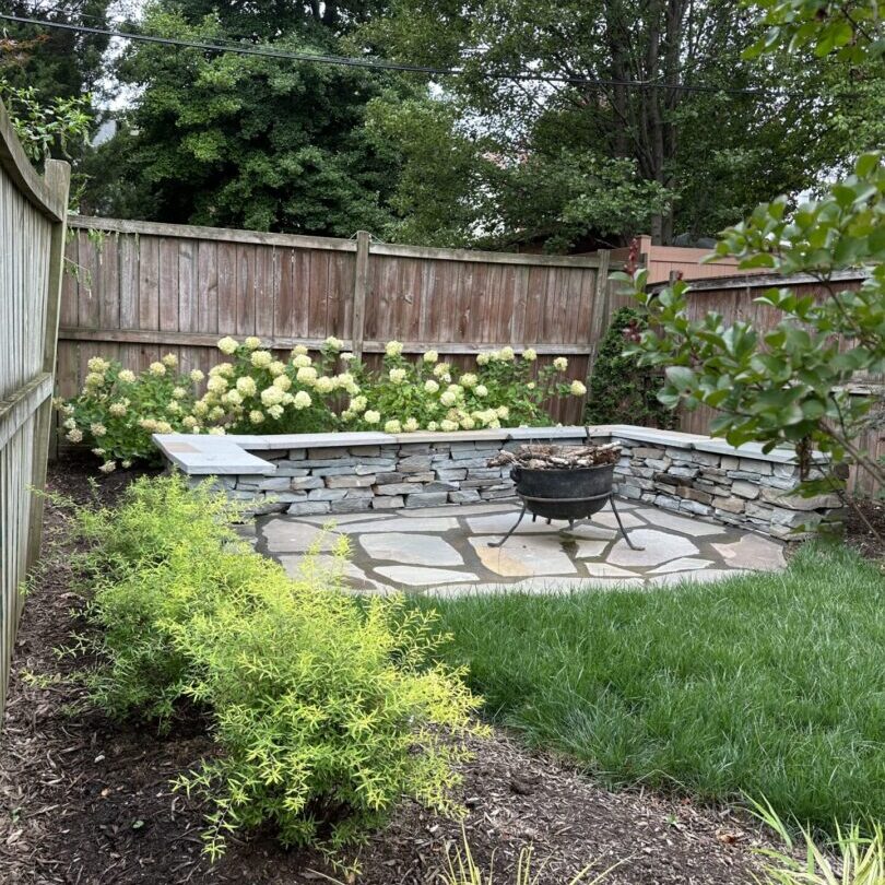 A backyard with a grill and some bushes