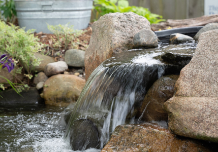 Water feature blog